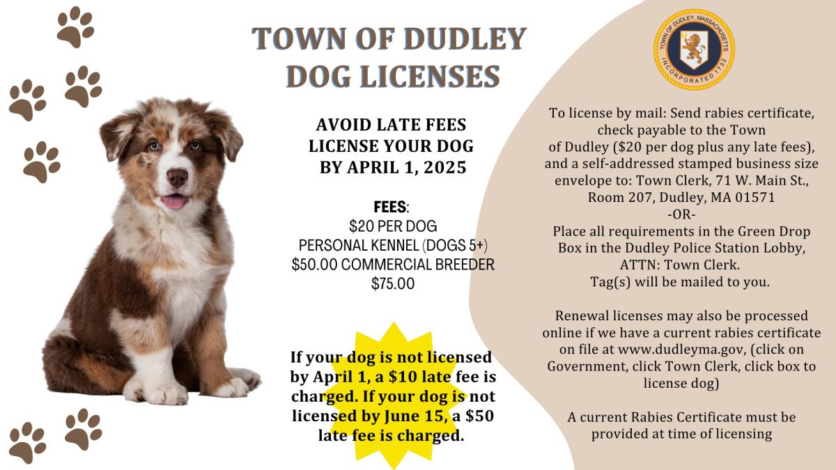 Dog License Notice